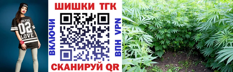 Бошки Шишки сатива  Хадыженск 